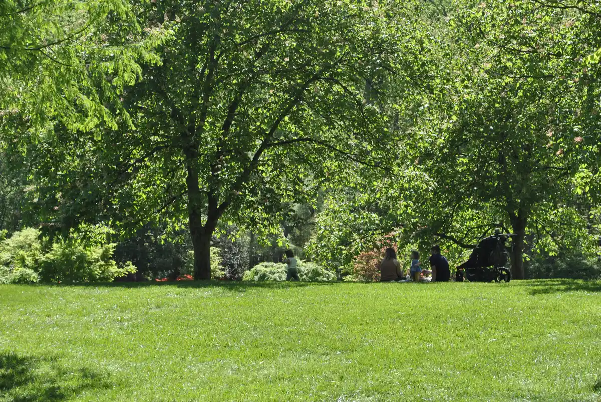 Brookside Gardens